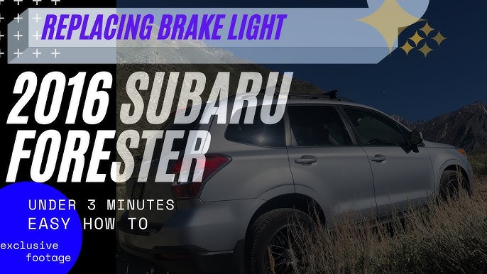 How To Replace Tail Light Bulb On 2017 Subaru Forester | Shelly Lighting