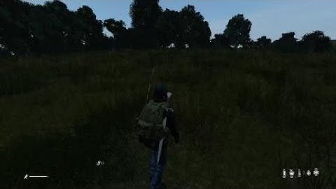 DayZ strange encounter