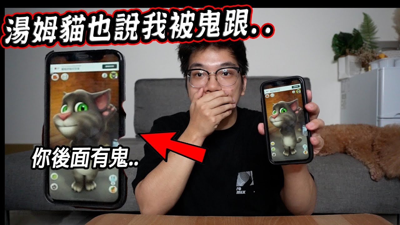 千萬不要在半夜三點和會說話的湯姆貓對話... Don't Talk to Talking Tom at 3 AM【希露弟弟啃雞腿】