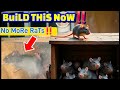 HoW To BuiLD a RaT TRaP! DIY RaT TRaP! HoMeMaDe RaT TRaP!