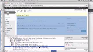 Working With Meta Boxes In WordPress Part 9