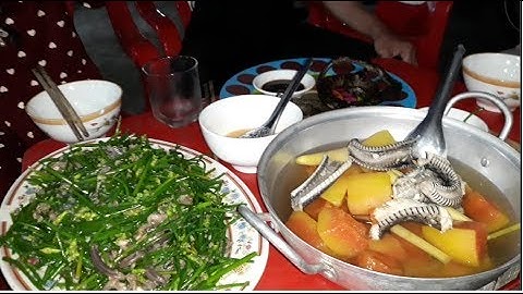 Bắt rắn đêm về làm 3 món nhậu cả nhà | dishes from the snake Vietnam| Bông lúa Miền tây