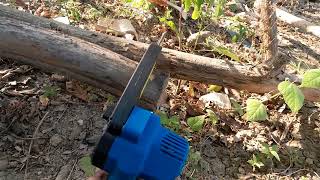 mengetes chainsaw dagmara 6inch ke kayu jati @ayobukapaket
