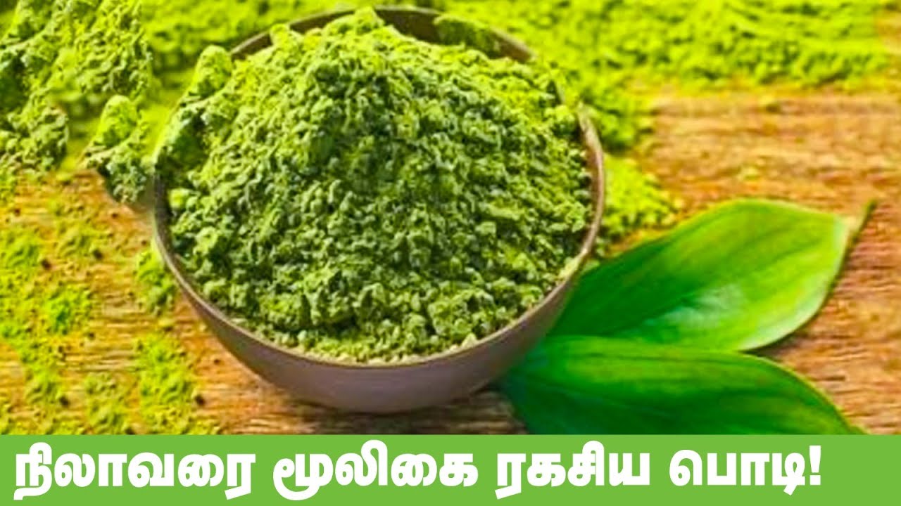 நிலாவரை சூரணம் பயன்கள் - 