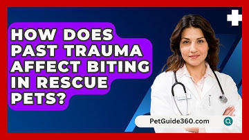 How Does Past Trauma Affect Biting In Rescue Pets? - PetGuide360.com