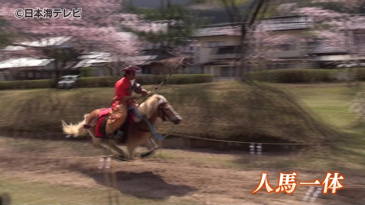 伝統】『流鏑馬神事』 人馬一体の伝統行事が開催 県内外から1万