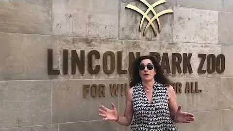 Charese David at the Lincoln Park Zoo