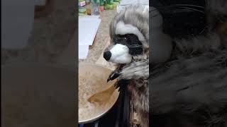 #WhenYoureHungry  #Comedy #FunnyRaccoon #Pasta #Shorts #Animals #PuppetComedy #FamilyFriendlyContent