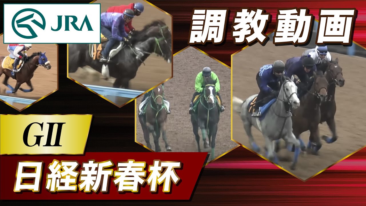 【調教動画】2026年 日経新春杯｜JRA公式