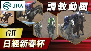 【調教動画】2026年 日経新春杯｜JRA公式