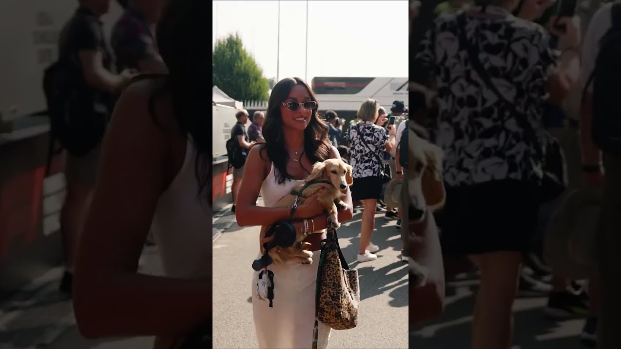 Leo has entered in the Paddock of Monza🐶😍