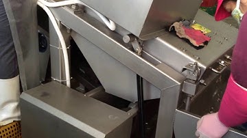 longan processing line worker operated