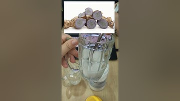 TINH BỘT NGHỆ ĐEN - HỖ TRỢ CÁC VẤN ĐỀ TIÊU HOÁ - ĐẸP DA