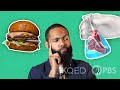 Cuestionario sobre Carne Cultivada en Laboratorio