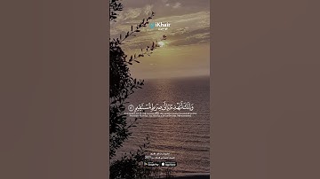 🎧 تلاوة تهز القلب بصوت الشيخ ياسر الدوسري | راحة وسكينة لا توصف 🕊️✨