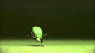 Sharam- Be the change
