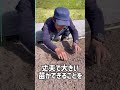 苗作り#種まき#米農家#自然栽培#自然農法