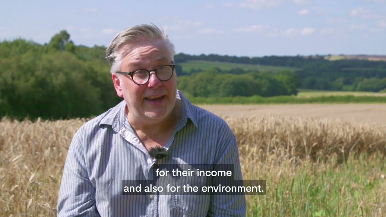 What happens when you switch farmland from livestock to crops?