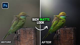 Create This Rich Matte Look Using Only Camera Raw Masking