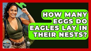 How Many Eggs Do Eagles Lay In Their Nests? - The Hiker's Advice