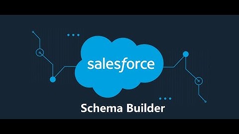 Session 19   Page Layouts & Schema Builder |Manage Page Layout in Salesforce Lightning experience |