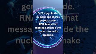 DNA vs RNA Explained in 30 Seconds 🧠 Easy Biology Trick