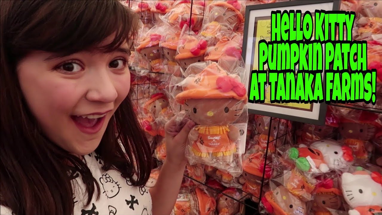 Hello Kitty Pumpkin Patch at Tanaka Farms Halloween Spooktacular