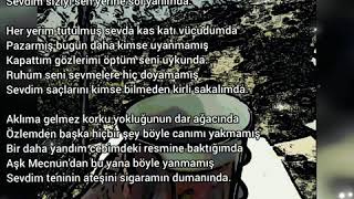 Şiirlerim.... Sevdim