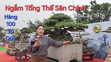 TOÀN CẢNH SÂN CHÍNH nơi có HÀNG 100 TP QUÝ , RẤT NHIỀU CÂY MỚI tại TL RA MẮT HỘI 1978 .