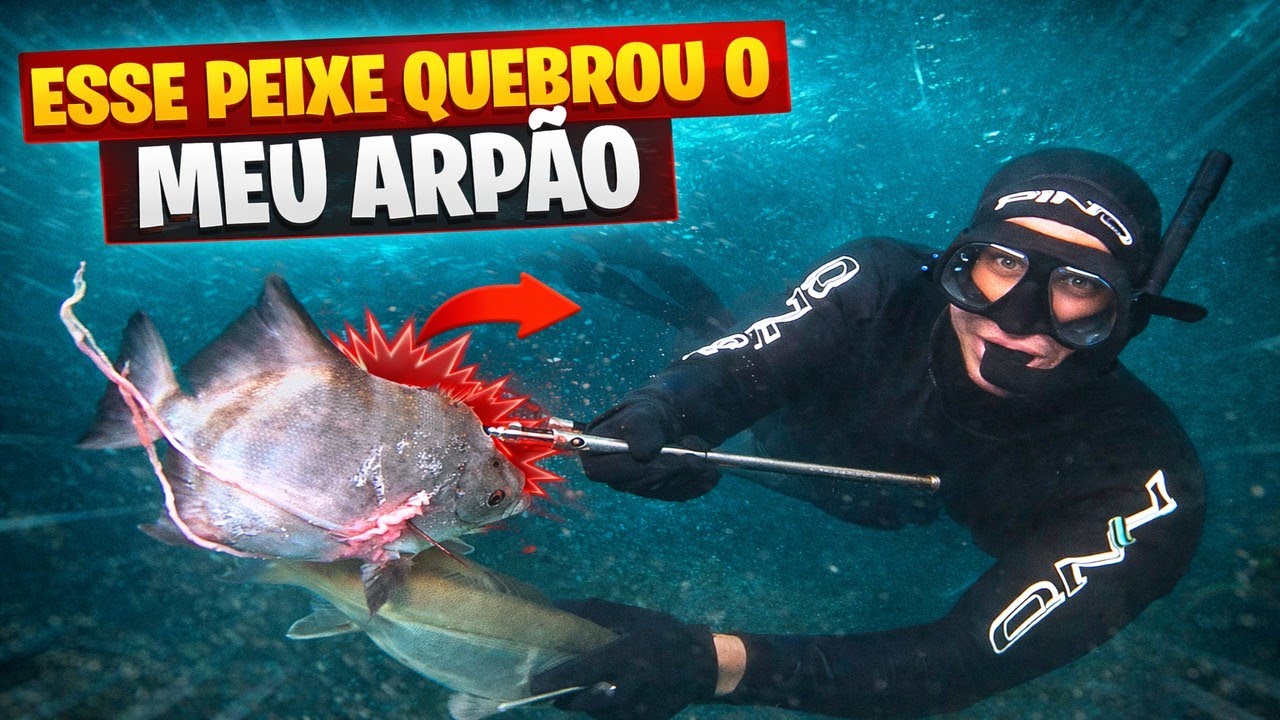 PESCA SUB - ESSE PEIXE QUEBROU O MEU ARPÃO NA FORÇA BRUTA!
