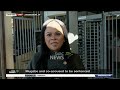 Mugabe and co accused to be sentenced