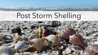 Looking for shells after a storm. Kayaking to a sandbar to hunt for beach treasures.