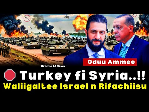 Oduu Ammee Turkey Fi Syria Waliigaltee Israel N Rifachiise