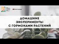 Домашние эксперименты с гормонами растений | Вебинар по педагогике с Андреем Липчинским