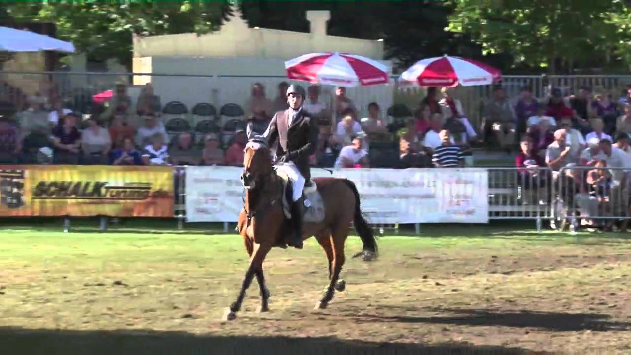 Andreas Kempf und Cora - Springprüfung Kl. S*