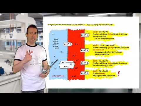 Video: Mikrobiel Nedbrydning Af Organophosphatinsekticider-inducerer Glukoseintolerance Via Glukoneogenese