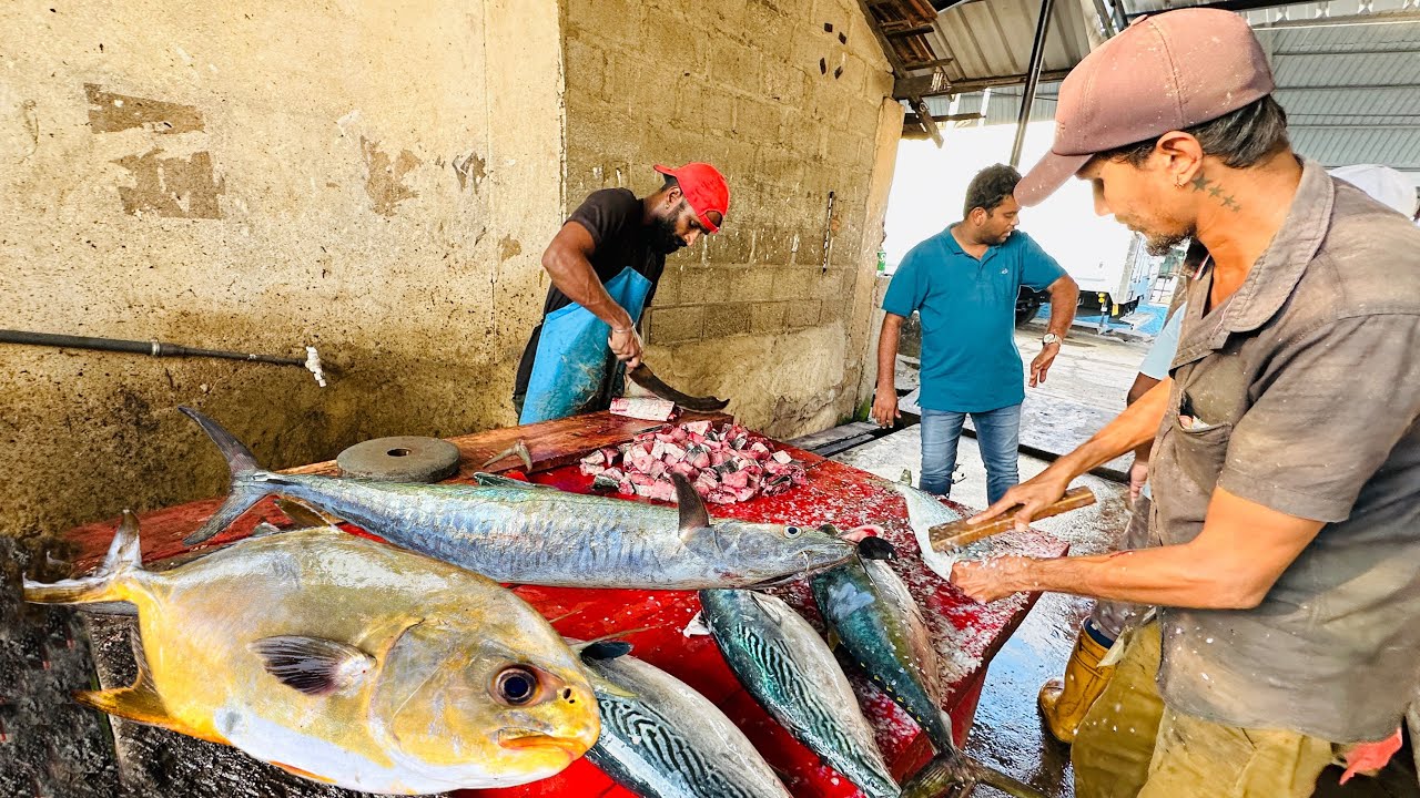 Amazing ! Secrets of Expert Fish Butchery: Rare Golden Trevally Species ...