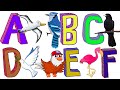 Bird Alphabet | ABC Birds | Birds Names & Sounds |鸟儿字母A到Z (中英文)