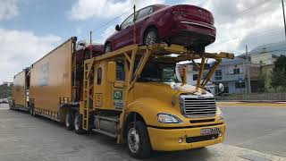 Car Carrier TC Hyundai and Kia