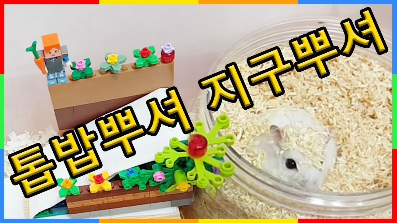 직접만든 햄스터용 디깅박스 뒷이야기 귀여운 햄찌 놀이터 만들기 DIY hamster digging box 심심타임