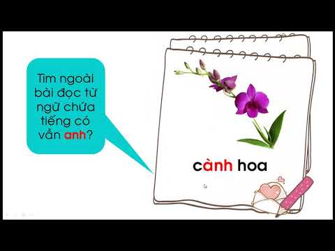 Tiếng Việt: Chợ hoa ngày Tết ở Hà Nội tiết 2. Tuần 23
