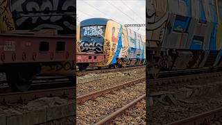Automotoare Olandeze Buffalo #tren #cfrmarfa #train #buffalo #dmu #netherlands #shorts #ldegm #cfr