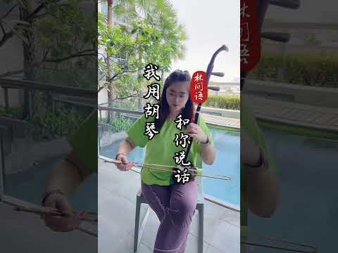 二胡的温柔甜美无以伦比《我用胡琴和你说话》#二胡演奏家 #二胡 #erhu #罗刹海市