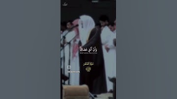 سوره القصص #بصوت الشيخ ياسر الدوسري #السعودية #المغرب #العراق #الاردن #الامارات #فلسطين