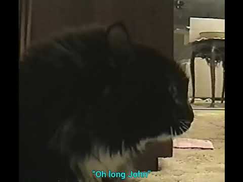 Oh Long Johnson Cat (With Accurate Subtitles)