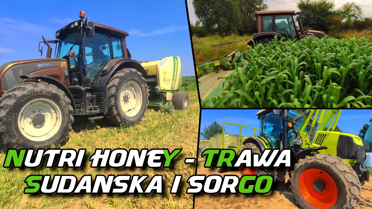 Nutri Honey - trawa sudańska i sorgo [Koszenie, prasowanie i owijanie]