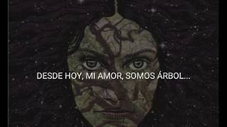 Video thumbnail of "Ser Árbol-Nacho Vegas-(LETRA)"