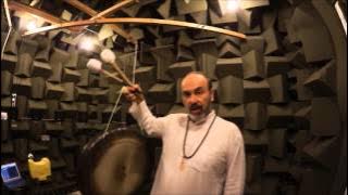 Anechoic Chamber and Gong