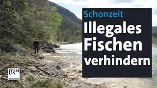 Gegen Schwarzfischer: Unterwegs mit dem Fischereiaufseher | Abendschau | BR24