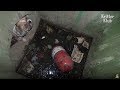 Dog Can't Escape From The Drain | Animal in Crisis EP12